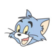 ͷ��
