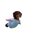 ͷ