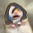 ͷ