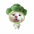 ͷ��