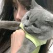ͷ��