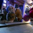 ͷ��