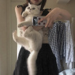 ͷ��