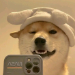 ͷ��