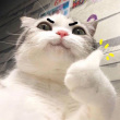 ͷ��