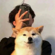 ͷ��