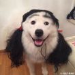 ͷ��