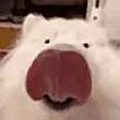 ͷ