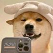 ͷ��