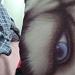 ͷ