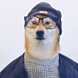ͷ