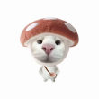 ͷ��