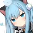 ͷ��
