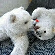ͷ