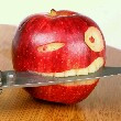 ͷ��