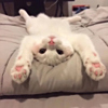 ͷ