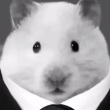 ͷ��