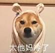 ͷ