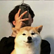 ͷ