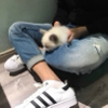 ͷ��