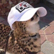 ͷ��