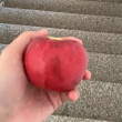 ͷ