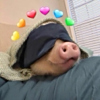 ͷ