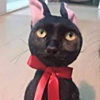 ͷ