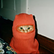 ͷ
