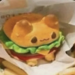 ͷ��