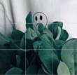 ͷ