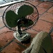 ͷ��