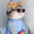 ͷ��