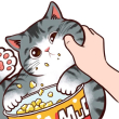 ͷ��