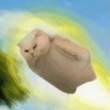 ͷ��