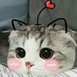 ͷ