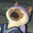 ͷ��