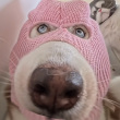 ͷ��