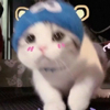 ͷ��