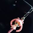 ͷ