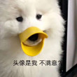 ͷ