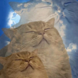 ͷ��