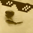 ͷ��