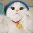 ͷ��