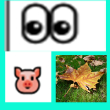 ͷ��