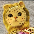 ͷ