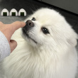 ͷ��
