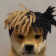 ͷ��