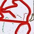 ͷ