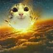 ͷ